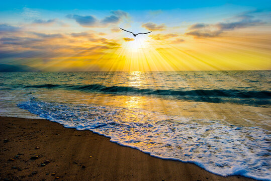 Sunset Ocean Bird Silhouette Inspiration Banner