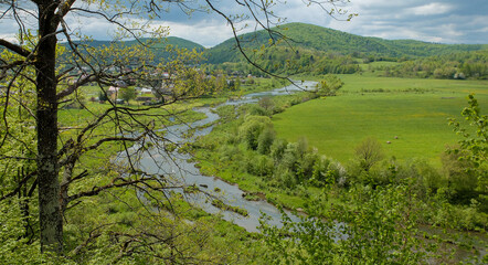 górska rzeka w wiosennych zielonych kolorach.