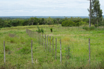 Fototapeta na wymiar .beautiful landscape of a green field with dividing fences