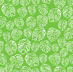 Monstera pattern seamless. Palm leaves background. Tropical texture