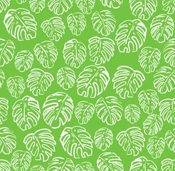 Behang Groen Monstera patroon naadloos. Palm bladeren achtergrond. Tropische textuur