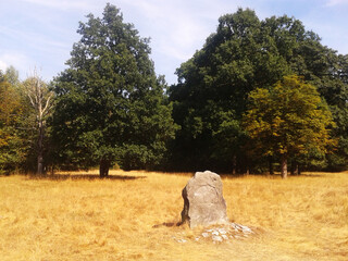 Field with trees and rock, megalith