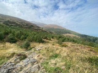 landscape in the mountains