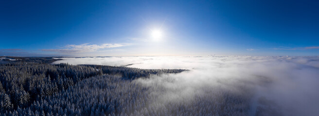 the winter forests of the rothaargebirge mountain in germany panorama