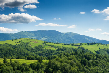 Fototapeta na wymiar mountainous rural landscape in summer. countryside scenery with grassy fields and forested hills. beautiful view of green alpine meadows on a sunny day