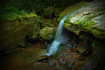 waterfall in the forest