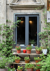 Fototapeta na wymiar window with flowers in pots