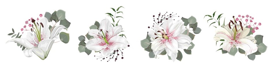 Vector flower set. White lilies, eucalyptus, pink gypsophila, green plants and leaves. Flowers on white background - obrazy, fototapety, plakaty