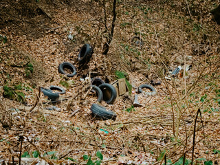 Pollution of the environment, old tires and other garbage thrown into the forest