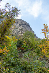 Valle D'Aosta, Italy, beautiful European landscape, beautiful trees with yellow and orange foliage, growing on the top of the mountain