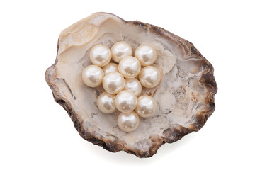 Pearl on shell isolated on white background with clipping path.