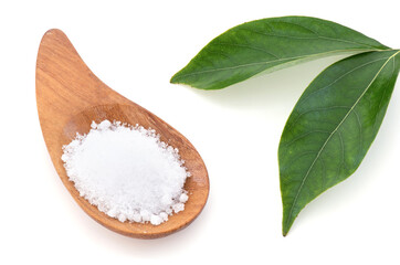 Camphor or Cinnamomum camphora crystal and green leaves isolated on white background.