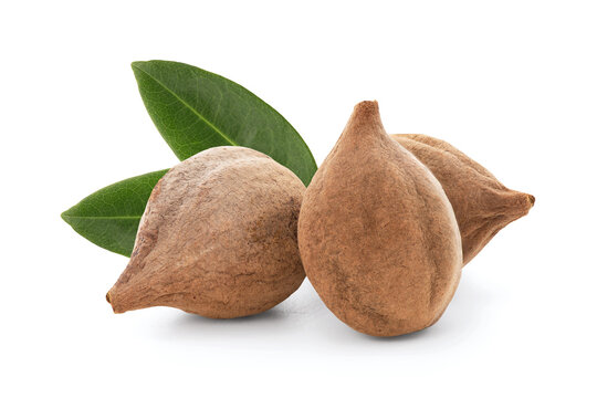 Terminalia bellirica or Beleric Myrobalan, fruits isolated on white background with clipping path.