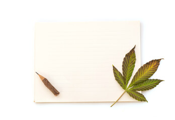 Marijuana or Cannabis ruderalis leaf put on an old paper background.top view.