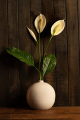 Peace lily flowers on an old wooden background.