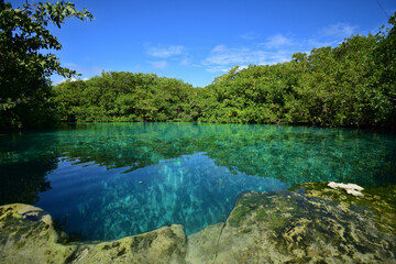 Open cenote between Tulum and Playa del Carmen, Mexico, Quintana Roo
