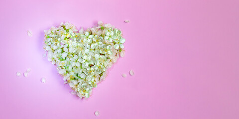 Cherry blossoms on a pink background, heart shape,the sun's rays.Valentine's Day Greeting Card.Top view. Space for text.