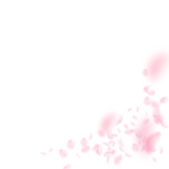 Sakura petals falling down. Romantic pink flowers corner. Flying petals on white square background. Love, romance concept. Unequaled wedding invitation.