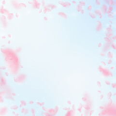 Fototapeta na wymiar Sakura petals falling down. Romantic pink flowers frame. Flying petals on blue sky square background. Love, romance concept. Modern wedding invitation.