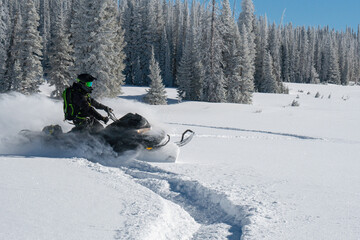 Snowmobile