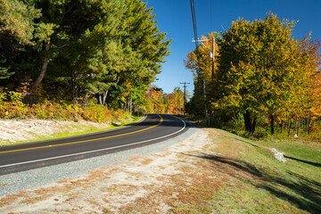 road in autumn forest