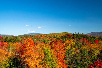 autumn landscape in the mountains