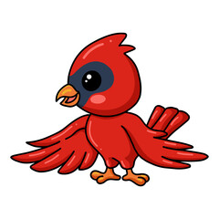 Cute baby cardinal bird cartoon posing