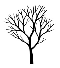 Black Tree. Vector outline Illustration. Outline drawing.