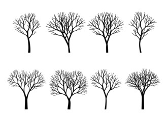 Set Black Trees. Vector outline Illustration. Outline drawing.