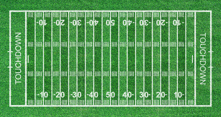 American football field, Green grass texture. Top view