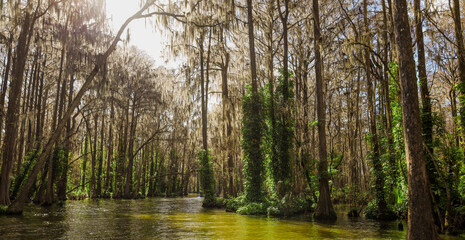 Dora Canal, which has been described as "The most beautiful mile of water in the world." Lake Eustis