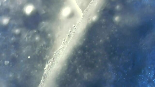 Macro texture of ice cubes under microscope