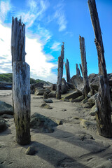Pier posts on ocean jetty