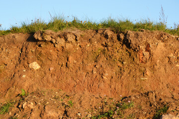 Texture layers of earth. Cross section of green grass and underground soil layers beneath. Natural cut of soil with different layers