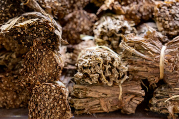 Hand made production of cigars from dried tobacco leaves, Garachico, Tenerife, Canary islands, Spain