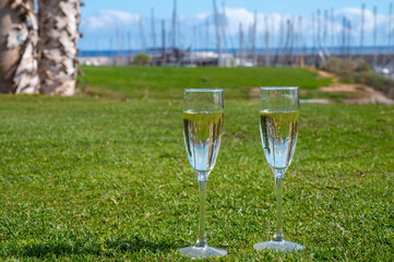Celebration of championship with glasses of champagne bubbles wine on green lawn of golf club