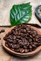 Green un-roasted and brown roasted coffee beans from Africa coffee producing region, cultivating in Ethiopia, Ivory Coast, Uganda, Kenya, Rwanda and Tanzania
