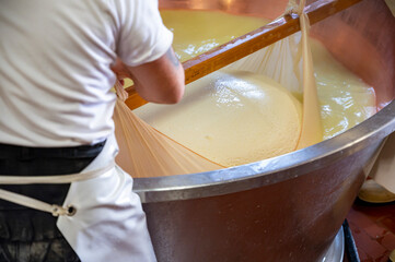 Process of making wheels of parmigiano-reggiano parmesan cheese on small cheese farm in Parma,...