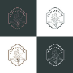 Hand Drawing  vintage frame Logo