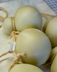 Cheese collection, Scamorza hard South Italian cow's milk cheese
