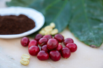 Red ripe arabica coffee berries, green coffee beands, leaves and roasted ground coffee in bowl