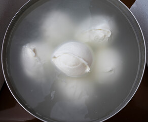 White balls of Italian soft cheese Mozzarella di Bufala Campana on Italian cheese farm, Campania, Italy