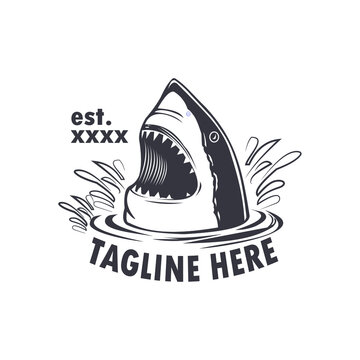 shark logo vector ready eps  format