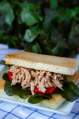 Tuna and Green Oak Bread Sandwich