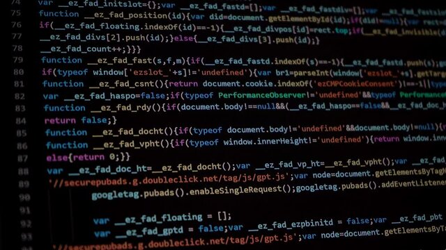 Rows and code data of a computer program by a it software developer