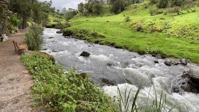 River flowing in the middle of woodland of Ecuador. Calm scene of water flowing between river rocks. Green forest surrounds.