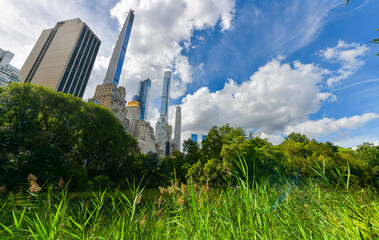 Obraz premium Central Park from Manhattan. Daily life scene and a beautiful day to walk in the biggest park in New York. Great view to the landmarks of this city in America.