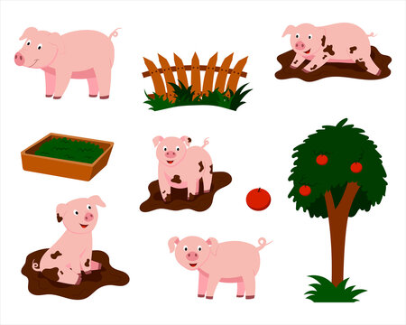 a set of vector illustrations of cute cartoon pigs. vector isolated on a white background