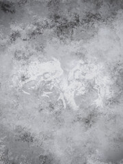 石壁　テクスチャ　蛙