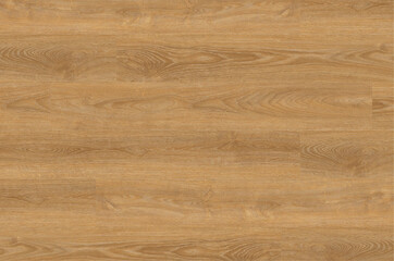 texture of wood - 479687111